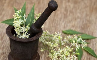 Neem For Diabetes: How Does The Wonder Herb Help Manage Blood Sugar Levels