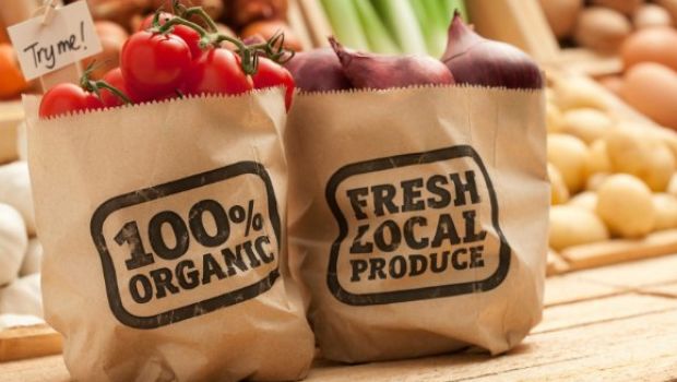 Paleo Diet: Should You Follow This Diet? Pros, Cons And Tips