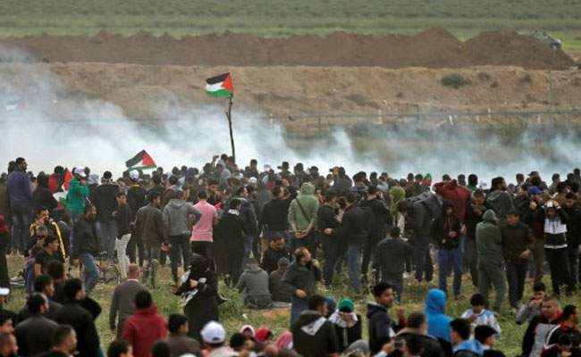 'I Don't Want This Life': 15 Palestinians Shot Dead By Israeli Army