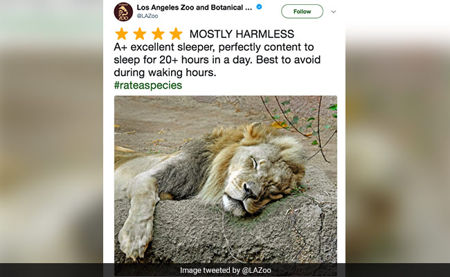 Zoos Are Tweeting Amazon-Like Reviews Of Animals And They Are Hilarious