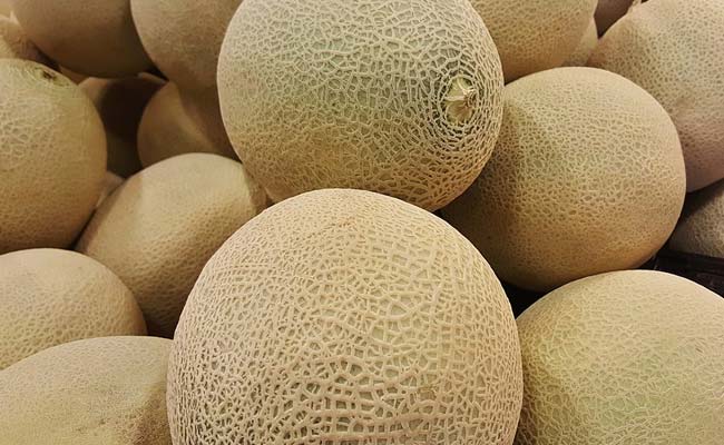 Fourth Person Dies In Australia From Contaminated Melon