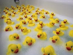 Ugly Ducklings: Should Rubber Ducks Be Banned From The Bath?