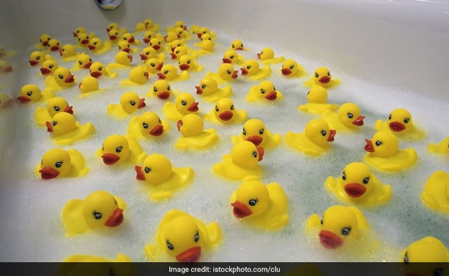 Ugly Ducklings Should Rubber Ducks Be, Rubber Duck Bathtub