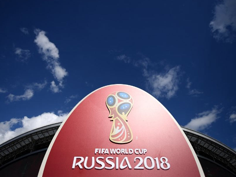 Indian Fan Dies In Car Crash Near Football World Cup Venue: Report