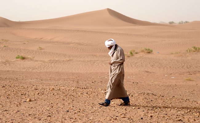 sahara desert climate