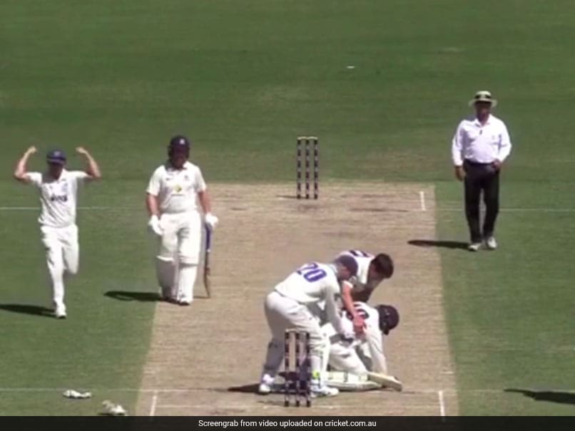Sean Abbott Bouncer Fells Batsman In Chilling Phillip Hughes Reminder Sean Abbott Bouncer Fells Batsman In Chilling Phillip Hughes Reminder
