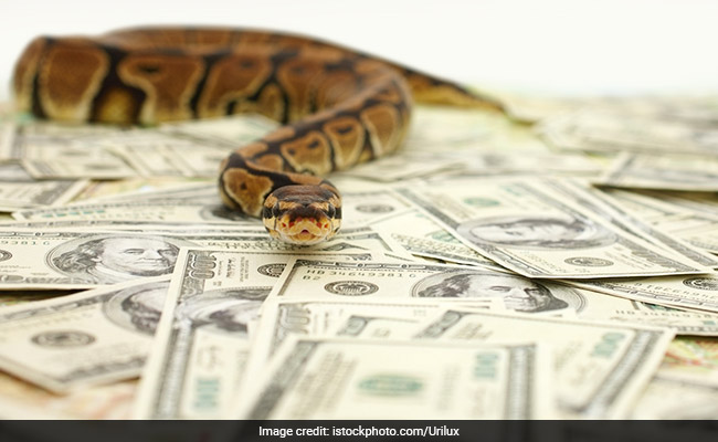 Millions Stolen In Nigeria. Accused - A Snake And Gang Of Monkeys