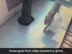 VIDEO: घर के अंदर मजे से टहल रहा था तेंदुआ, देखें क्या हुआ जब देखा गार्ड ने