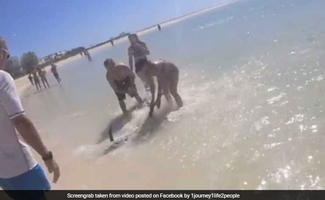 Video: Woman Helps Beached Marlin Fish Back Into The Sea