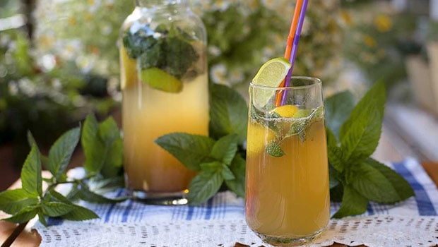 Chamomile Vodka Cooler