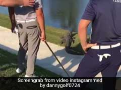 Golfer Comes Dangerously Close To Alligator While Playing. Watch