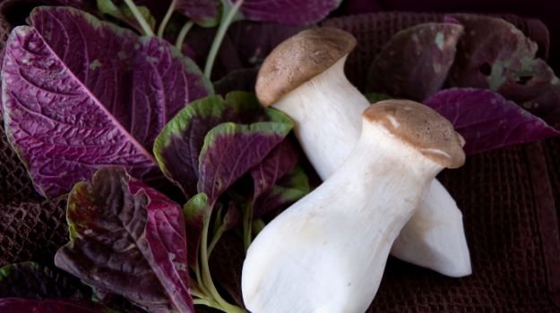 Why Should You Include Amaranth Leaves In Your Diet? Read This Instagram Post To Find Out The Benefits