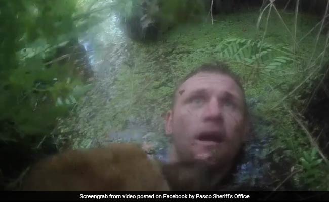 Watch: Suspect Fleeing Cops Ends Up In Swamp, Stuck In Neck-Deep Mud