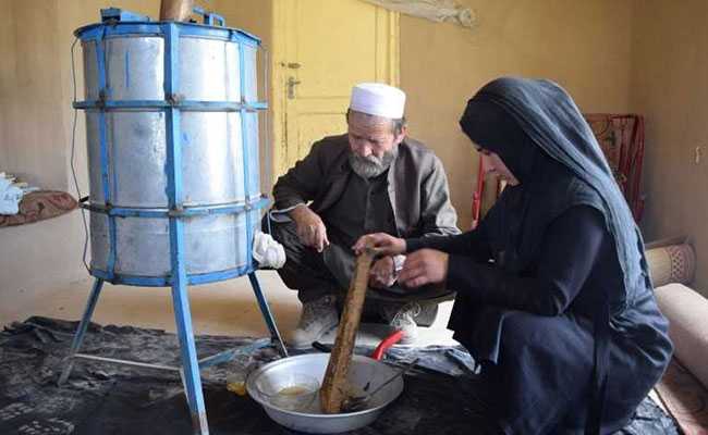 Busy Bees Turn Afghan Schoolgirl Into An Entrepreneur