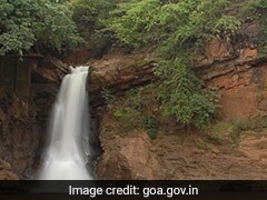 500-Year-Old Waterfall In Goan Village Runs Dry, Locals Blame Mining
