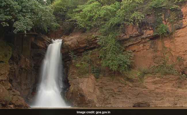 500-Year-Old Waterfall In Goan Village Runs Dry, Locals Blame Mining