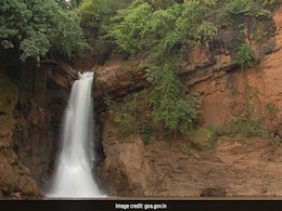 500-Year-Old Waterfall In Goan Village Runs Dry, Locals Blame Mining 500-Year-Old Waterfall In Goan Village Runs Dry, Locals Blame Mining