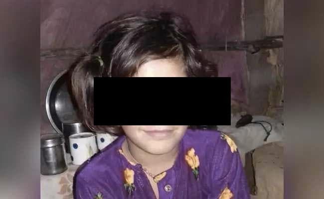 Kathua Case: Meerut Student Travelled To Rape Jammu 8-Year-Old, Says Chargesheet