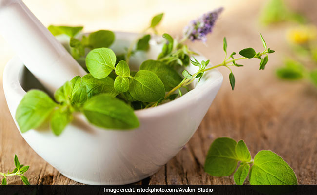 Summer Diet: These Cooling Herbs Can Help You Beat The Summer Heat