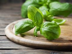 9 Incredible Benefits Of Basil Leaves You May Not Have Known