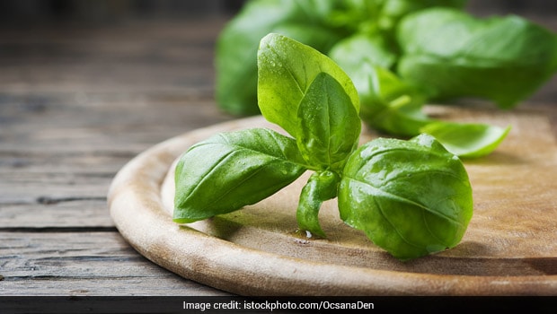 Benefits Of Eating Tulsi Or Basil Leaves In Morning On Empty