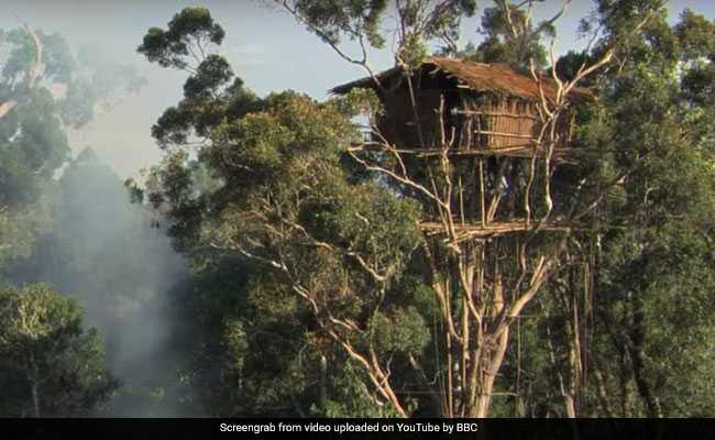 BBC Made Documentary On African Tribe. Now They Say Scenes Were Staged