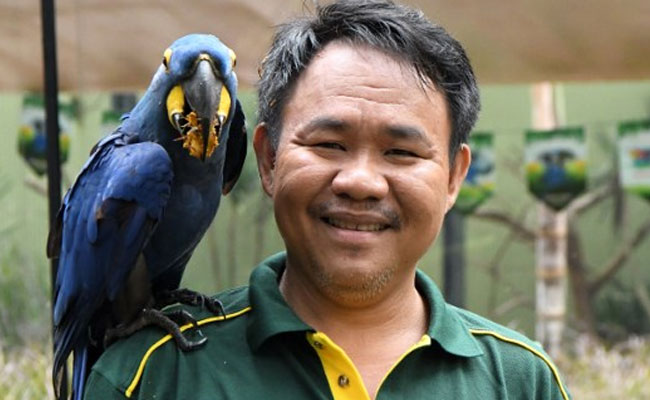 Deaf 'Bird Whisperer' Has A Special Bond With Feathered Friends