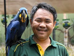 Deaf 'Bird Whisperer' Has A Special Bond With Feathered Friends