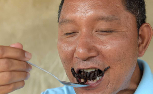 In This Cambodian Town, Tarantulas May Go Off Menu. Here's Why