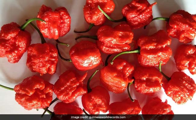 World's Hottest Chilli Pepper Carolina Reaper May Have An Indian Connection