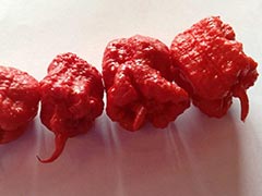 Can A Chile Pepper Really Cause An 'Incapacitating' Headache?