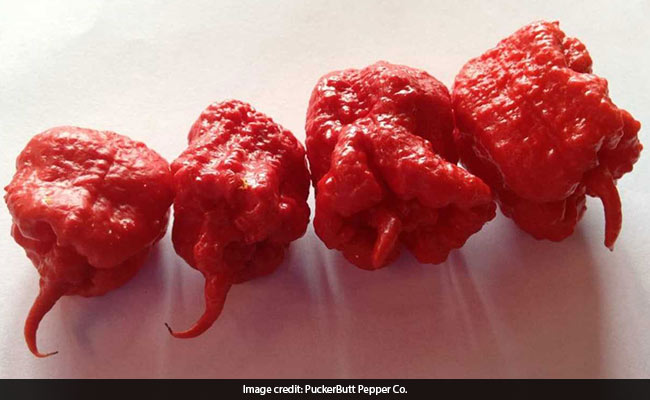 Can A Chile Pepper Really Cause An 'Incapacitating' Headache?