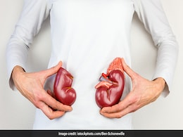 Can Dialysis Cure Kidney Problems: All You Should Know About It Can Dialysis Cure Kidney Problems: All You Should Know About It