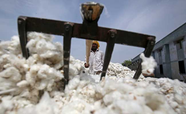 Centre Makes Raw Cotton Import Duty-Free Till September 30 To Support Textile Sector