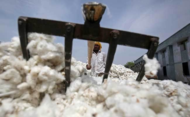 Centre Makes Raw Cotton Import Duty-Free Till September 30 To Support Textile Sector