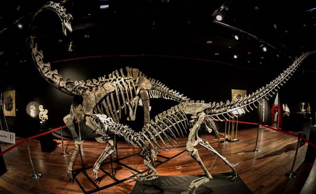 Anonymous Buyer Pays Over $3 Million For 2 Dinosaur Skeletons