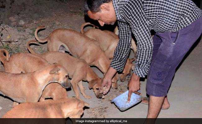 गुजरात के इस गांव में हर कुत्ता है करोड़पति, जानें क्या है वजह