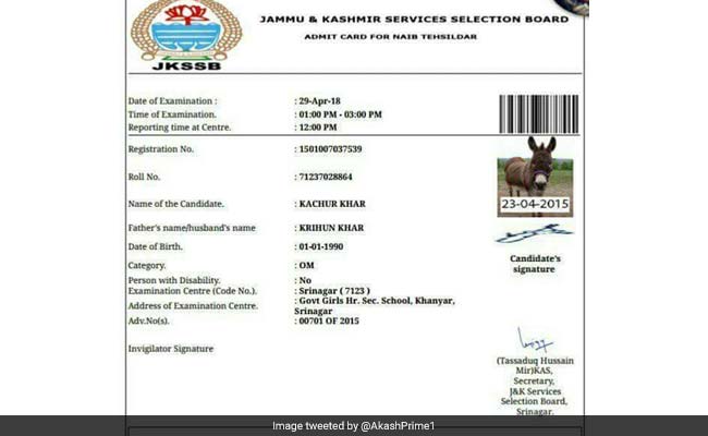 Now, Donkey Issued Hall Ticket To Write Exam In Jammu And Kashmir