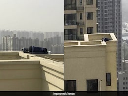 Drunk Man Found Sleeping On Building Ledge - 29 Floors Off The Ground Drunk Man Found Sleeping On Building Ledge - 29 Floors Off The Ground