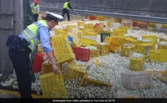 Video: 1 Lakh Eggs Crack Open On Highway After Truck Flips Over