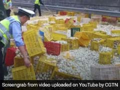 Video: 1 Lakh Eggs Crack Open On Highway After Truck Flips Over