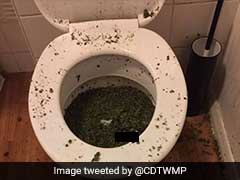 They Tried To Flush Marijuana Down The Toilet. It Didn't Go As Planned