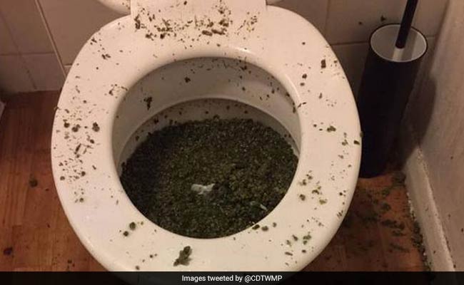 They Tried To Flush Marijuana Down The Toilet. It Didn't Go As Planned