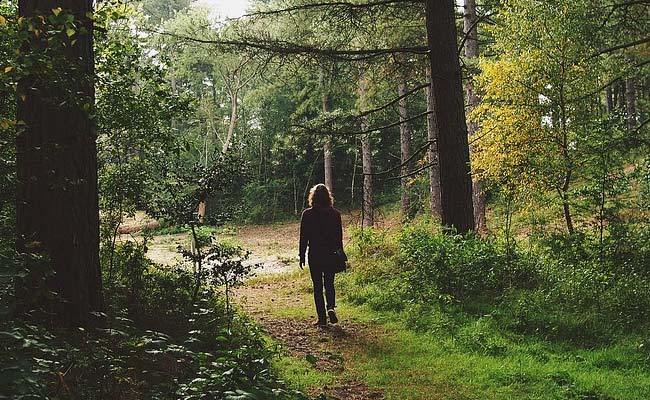 20 Minutes In Nature Can Have Magical Effects On Stress; Here's How