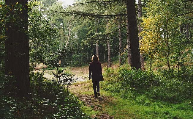 Here's How Living Closer To Nature Can Cut The Risk Of Diabetes, Heart Disease