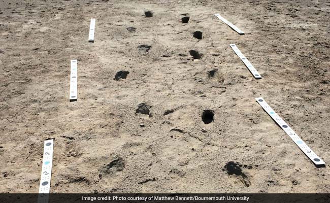 fossil footprints of human chasing sloth wp 2 650