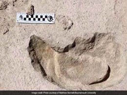 'Unique In The World' Fossil Footprints Show A Human Chasing An Extinct Giant Sloth 'Unique In The World' Fossil Footprints Show A Human Chasing An Extinct Giant Sloth