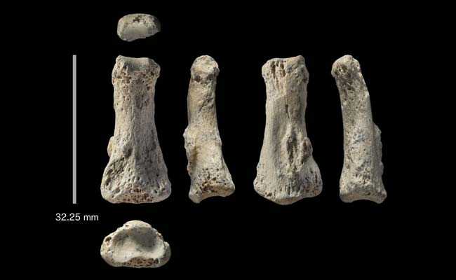 90,000-Year-Old Homo Sapiens Finger's Fossil Found In Saudi Desert