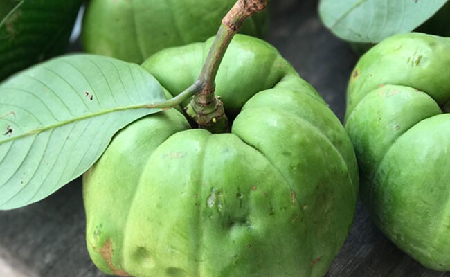 Garcinia Cambogia: 6 Health Benefits Of Garcinia Cambogia You Should Know
