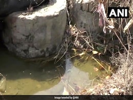 Girl's Body, Hand Missing, Fished Out Of Drain In Haryana's Rohtak Girl's Body, Hand Missing, Fished Out Of Drain In Haryana's Rohtak